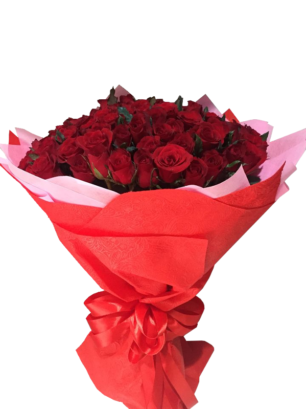 Stunning red roses